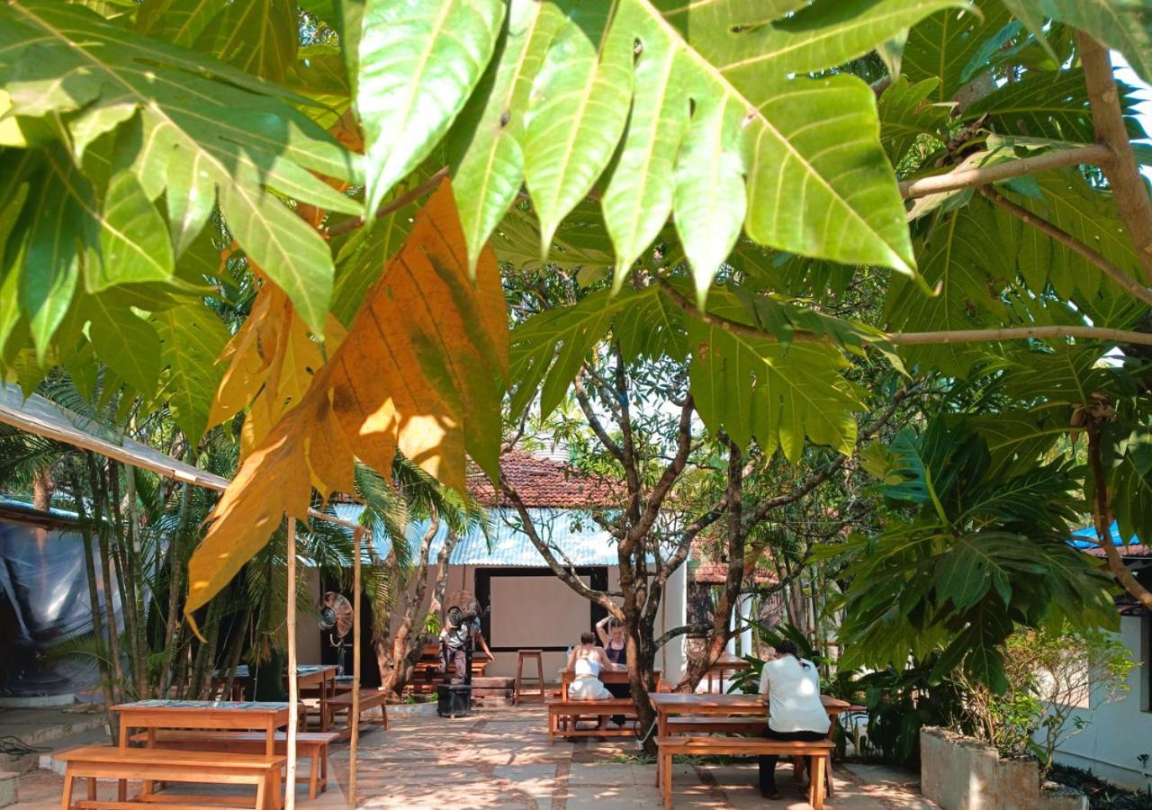 The Funky Monkey Hostel Anjuna Eksteriør bilde